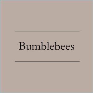 Bumblebees