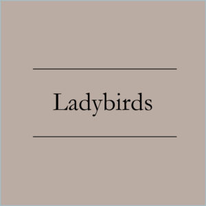 Ladybirds