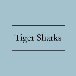 Tigersharks Class