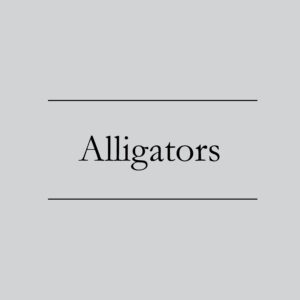 Alligators