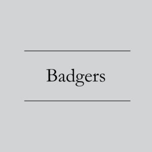 Badgers