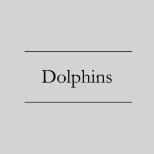 Dolphins