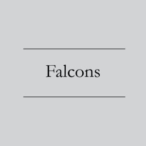 Falcons