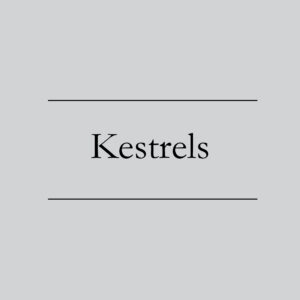 Kestrels
