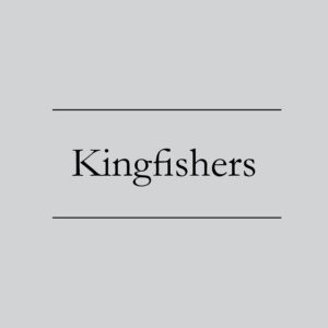 Kingfishers