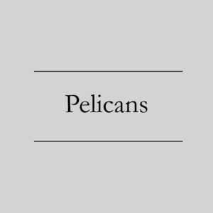 Pelicans