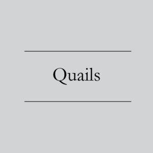 Quails