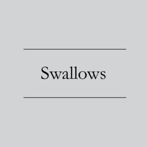 Swallows