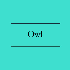 Owl