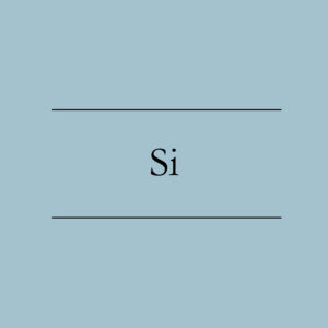 SI
