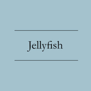 Jellyfish Class