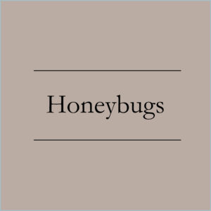 Honey Bugs