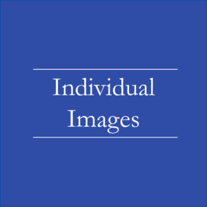 Individual Photos