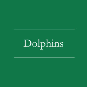 Dolphins