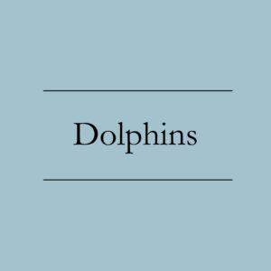 Dolphins
