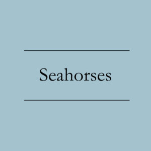 Seahorses