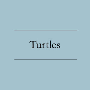 Turtles