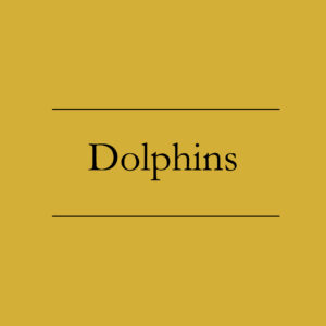 Dolphins