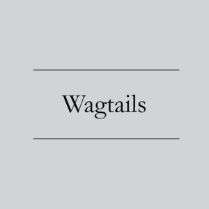Wagtails